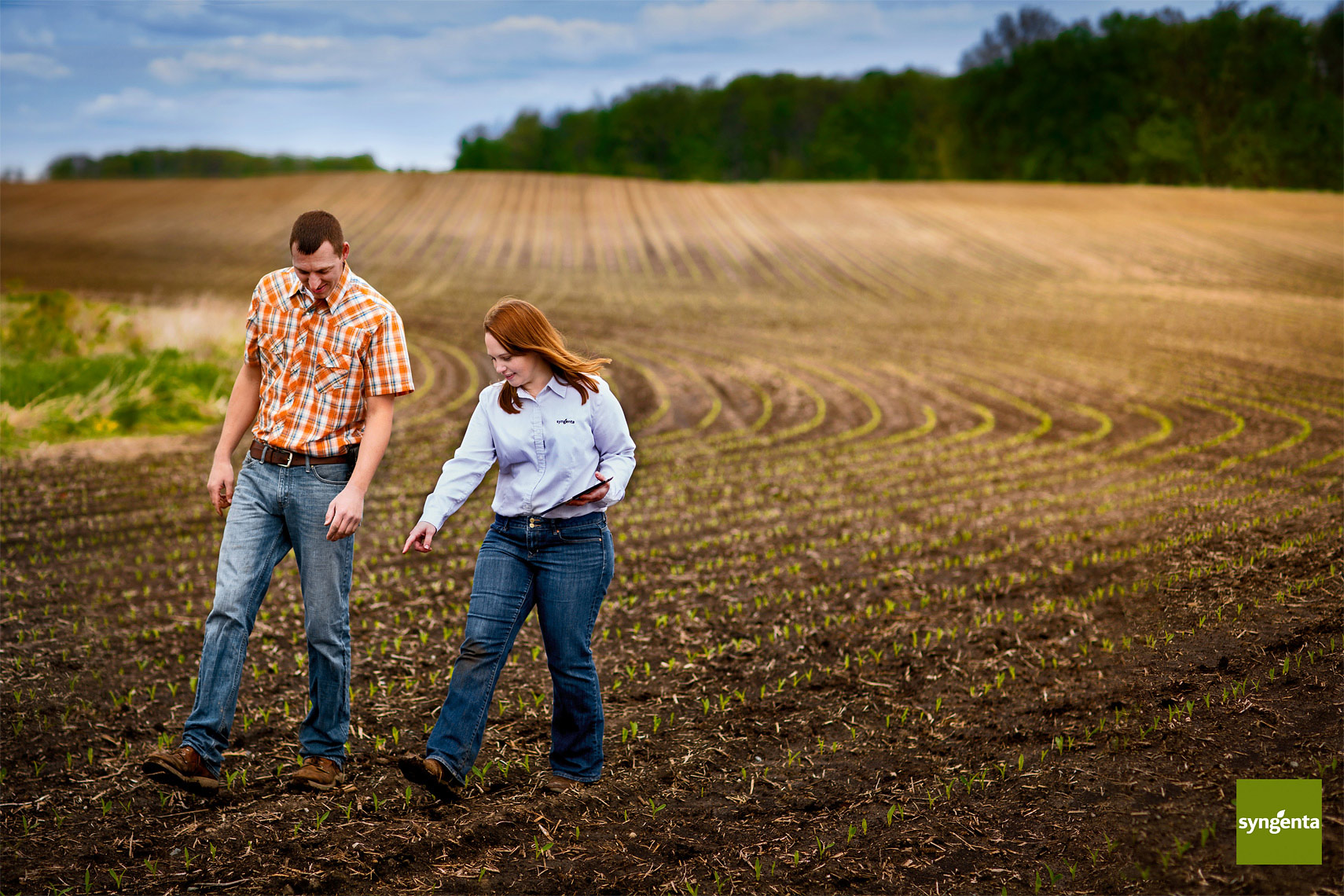lifestyle-photo-of-syngenta-representative-overseeing-crops
